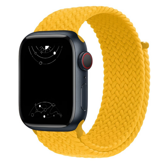 Caterva Elástica Trenzado Solo Bucle Correa