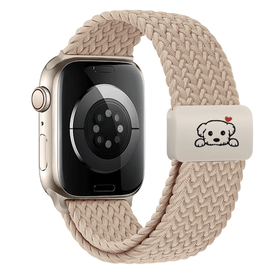 Saepe Elastic Nylon Sports Band - Astra Straps