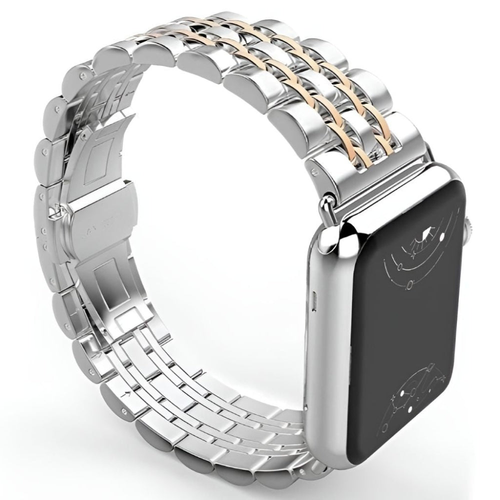 Sierra Stainless Steel Band + Case - Astra Straps