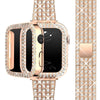 Deliciae Lujo Correa + Funda - Astra Straps