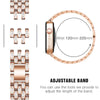 Deliciae Lujo Correa + Funda - Astra Straps