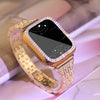 Deliciae Lujo Correa + Funda - Astra Straps