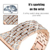 Deliciae Lujo Correa + Funda - Astra Straps